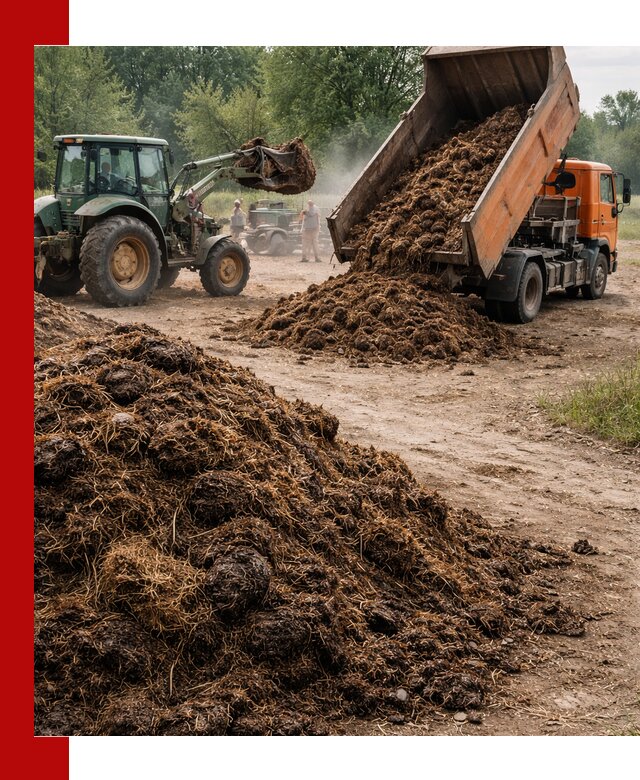 Доставка навоза самосвалами в Азове для сельхозпотребностей